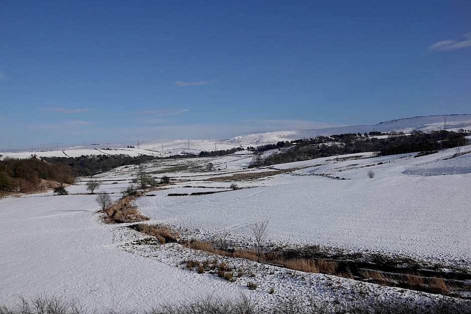 Ealeesvalley