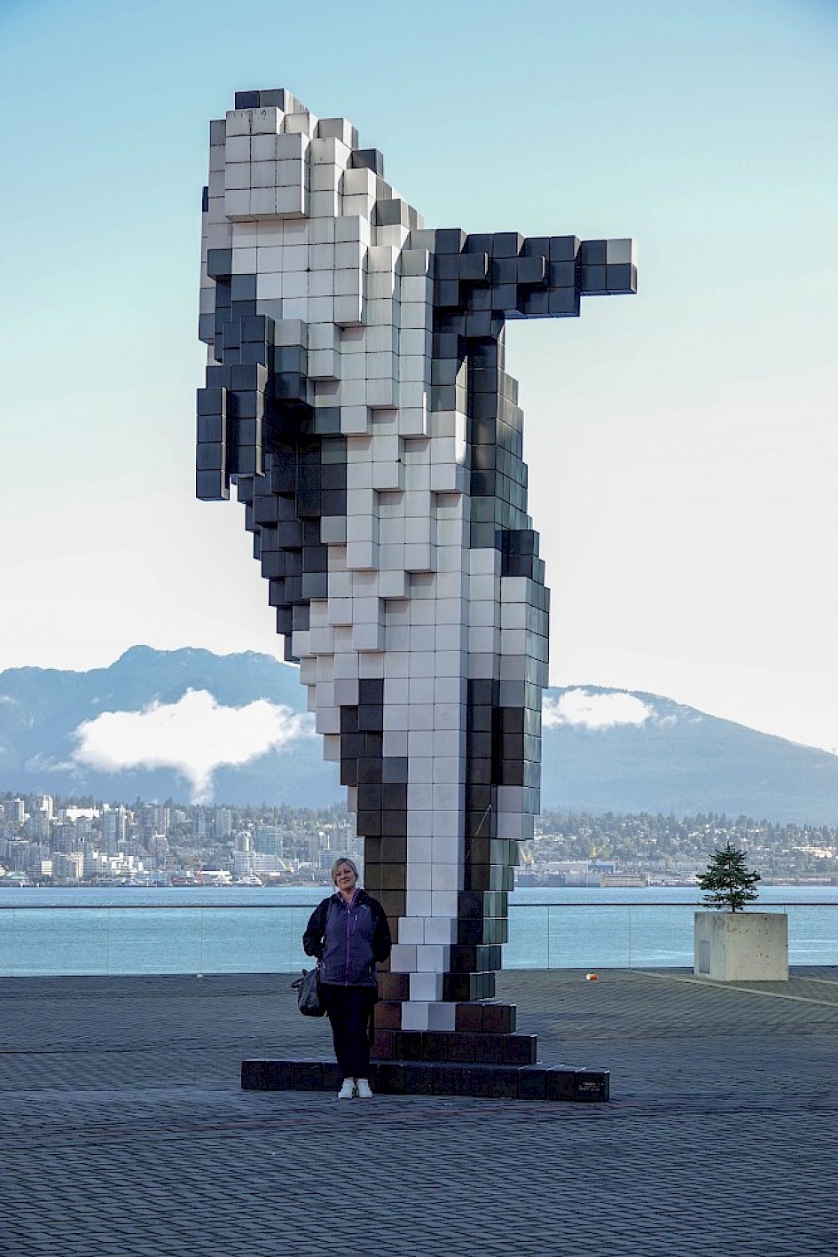Digital Orca - Coal Harbour