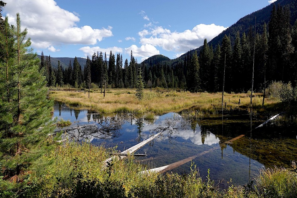 Near Manning Park, BC