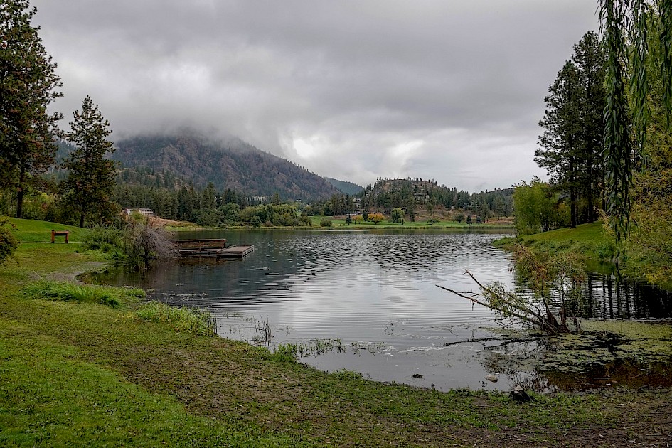Shannon Lake - no birds!