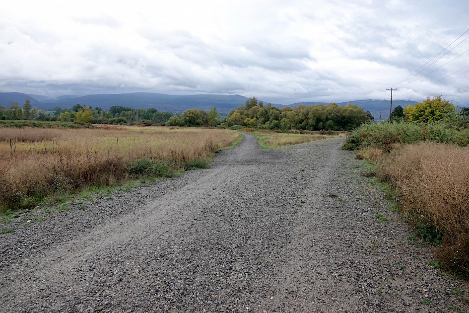 Path to Munson Pond