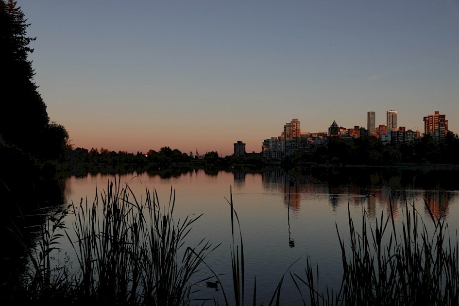 Stanley Park at dusk