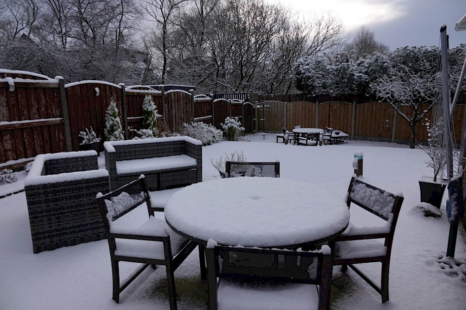 Garden Snow
