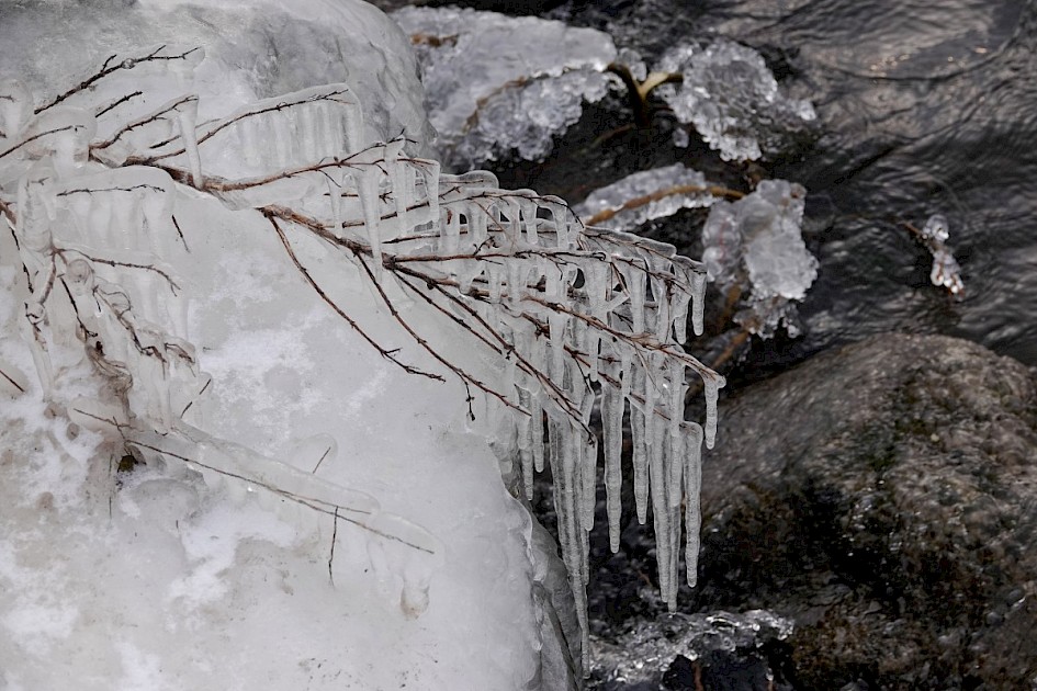 Son-iceformation