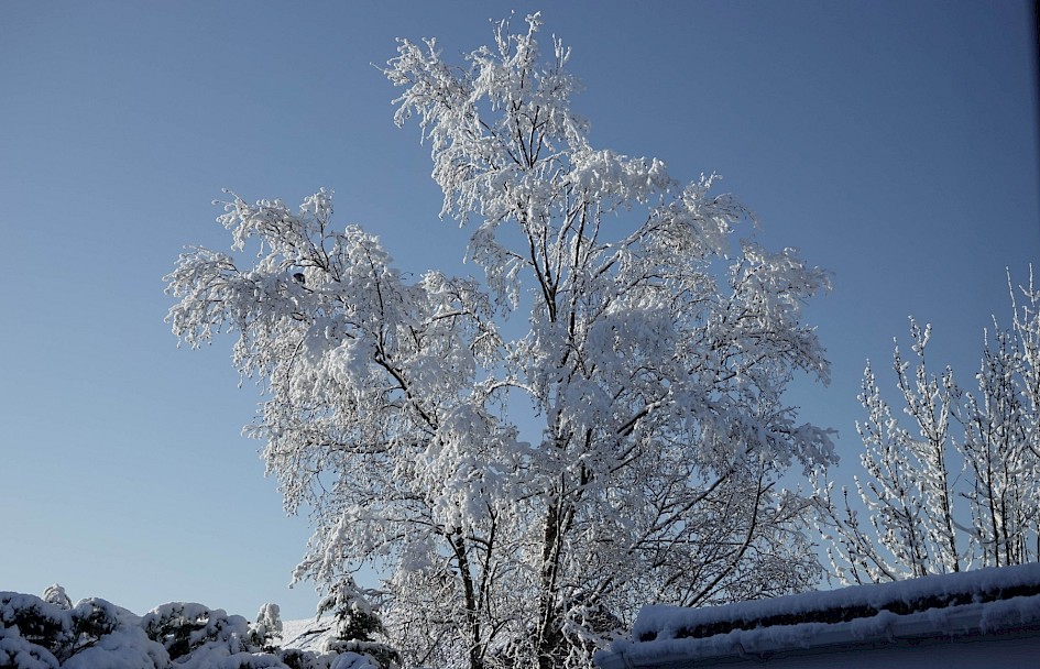 Snow