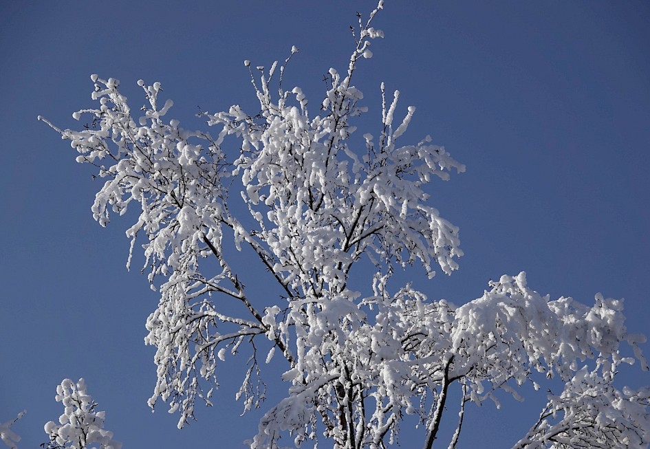 Snow