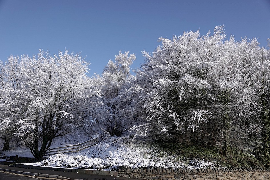 Snow