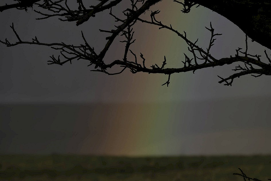 Rainbow, 1/400 sec, f/5.6, ISO 100, 143.15 mm