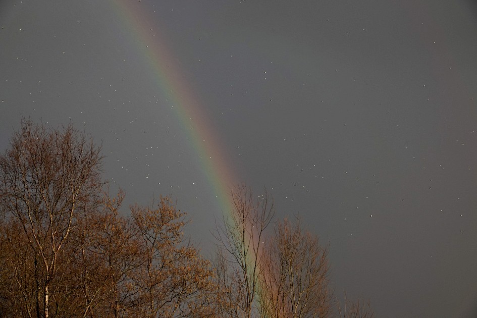 Rainbow and gulls, 1/250 sec, f/5.6, ISO 200, 40.73 mm