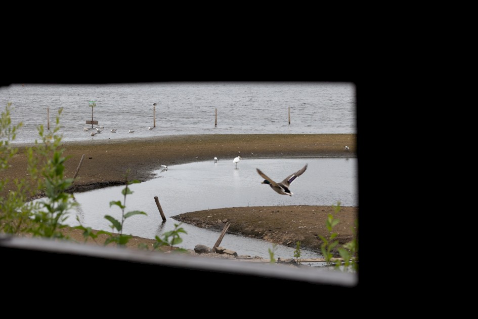 View From The Hide, 1/640 sec, f/7.1, 100 mm, ISO 320