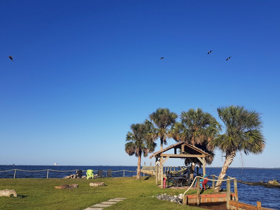 Dock area, more pelicans