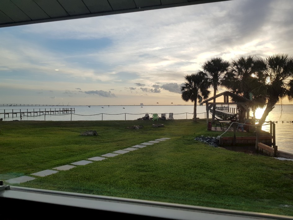 View from front window, early morning - Pelicans flying past