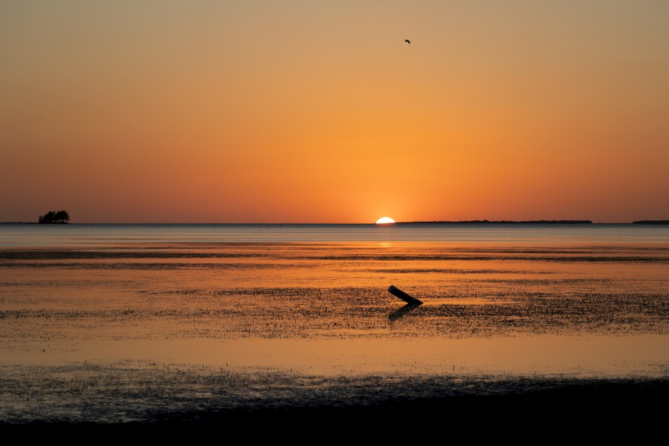 Sunset At Palm Harbour, 1/640 sec, f/5.6, 123 mm, ISO 200